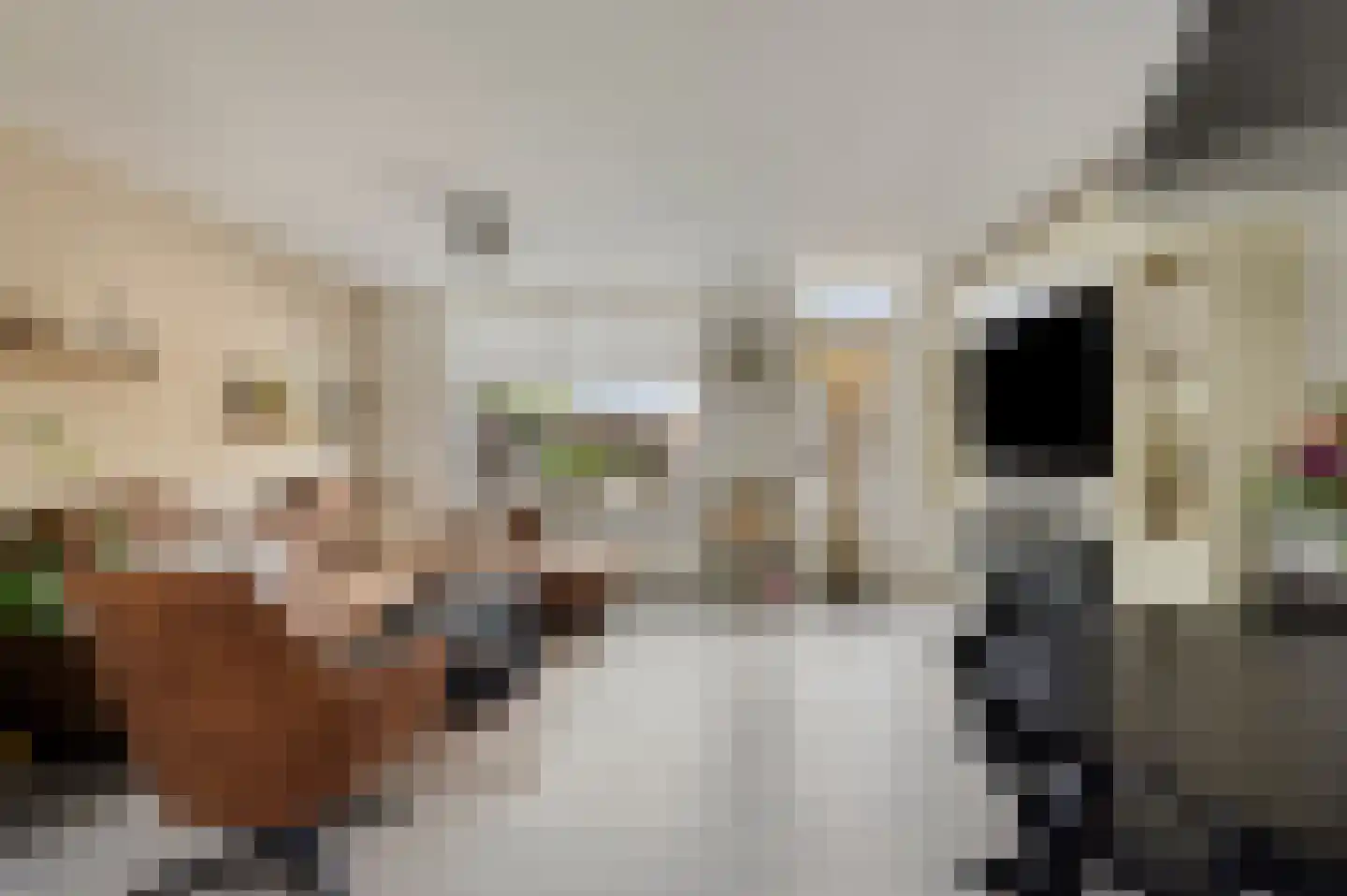 Raaphorstpolderweg 3 Gouda thumbnail 11