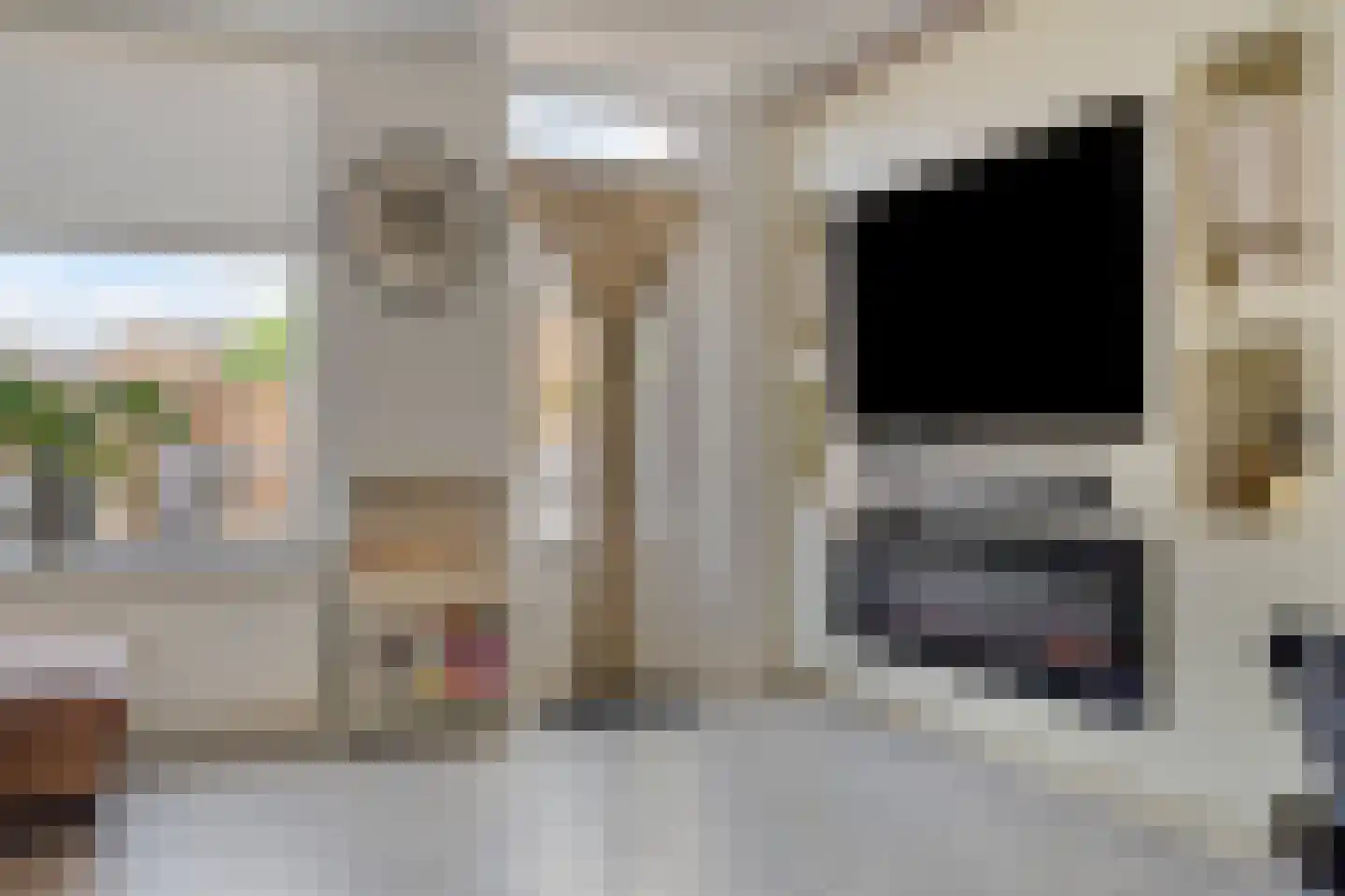 Raaphorstpolderweg 3 Gouda thumbnail 12