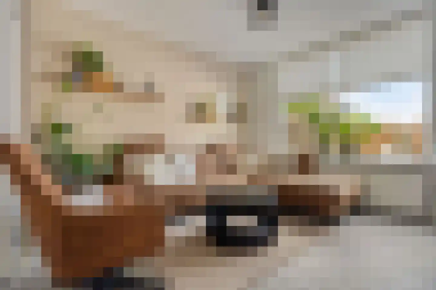 Raaphorstpolderweg 3 Gouda thumbnail 13