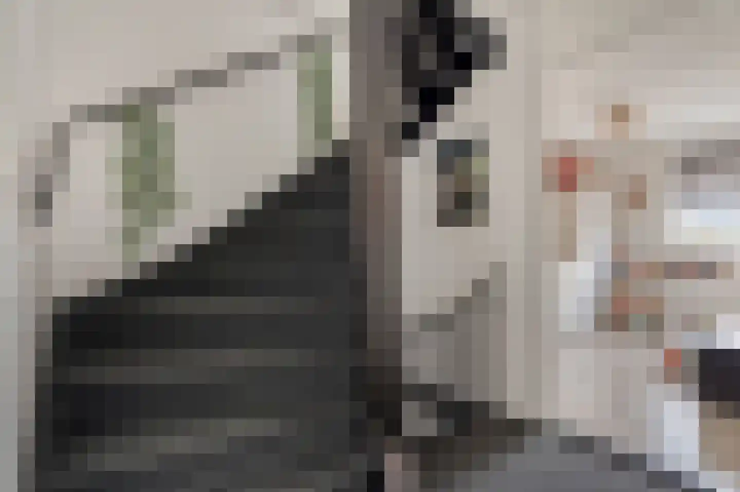 Raaphorstpolderweg 3 Gouda thumbnail 20