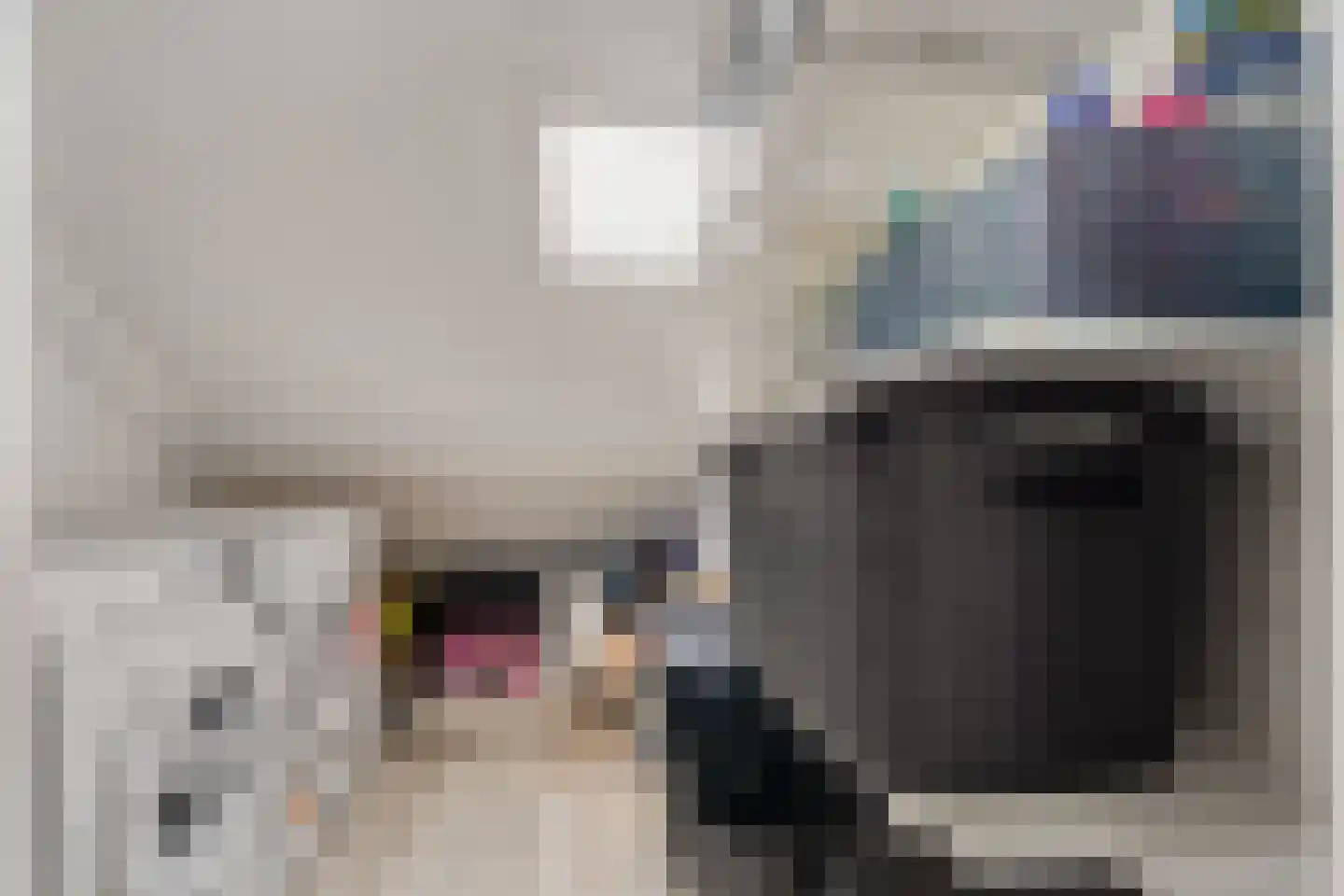 Raaphorstpolderweg 3 Gouda thumbnail 33