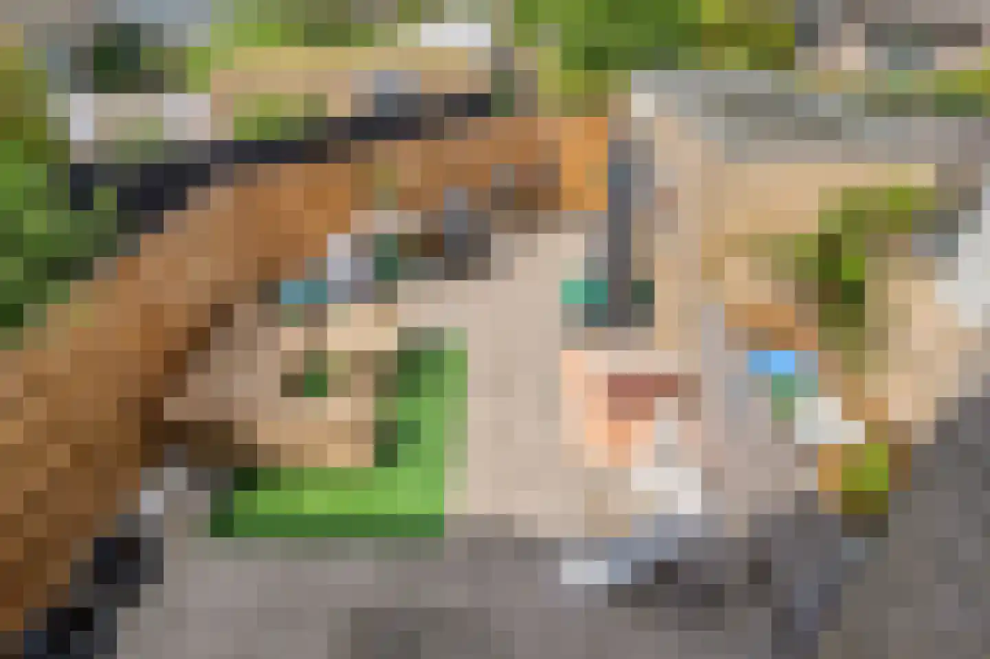 Raaphorstpolderweg 3 Gouda thumbnail 34
