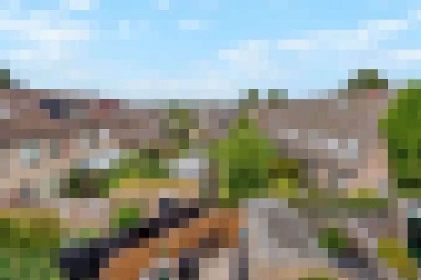 Raaphorstpolderweg 3 Gouda thumbnail 37