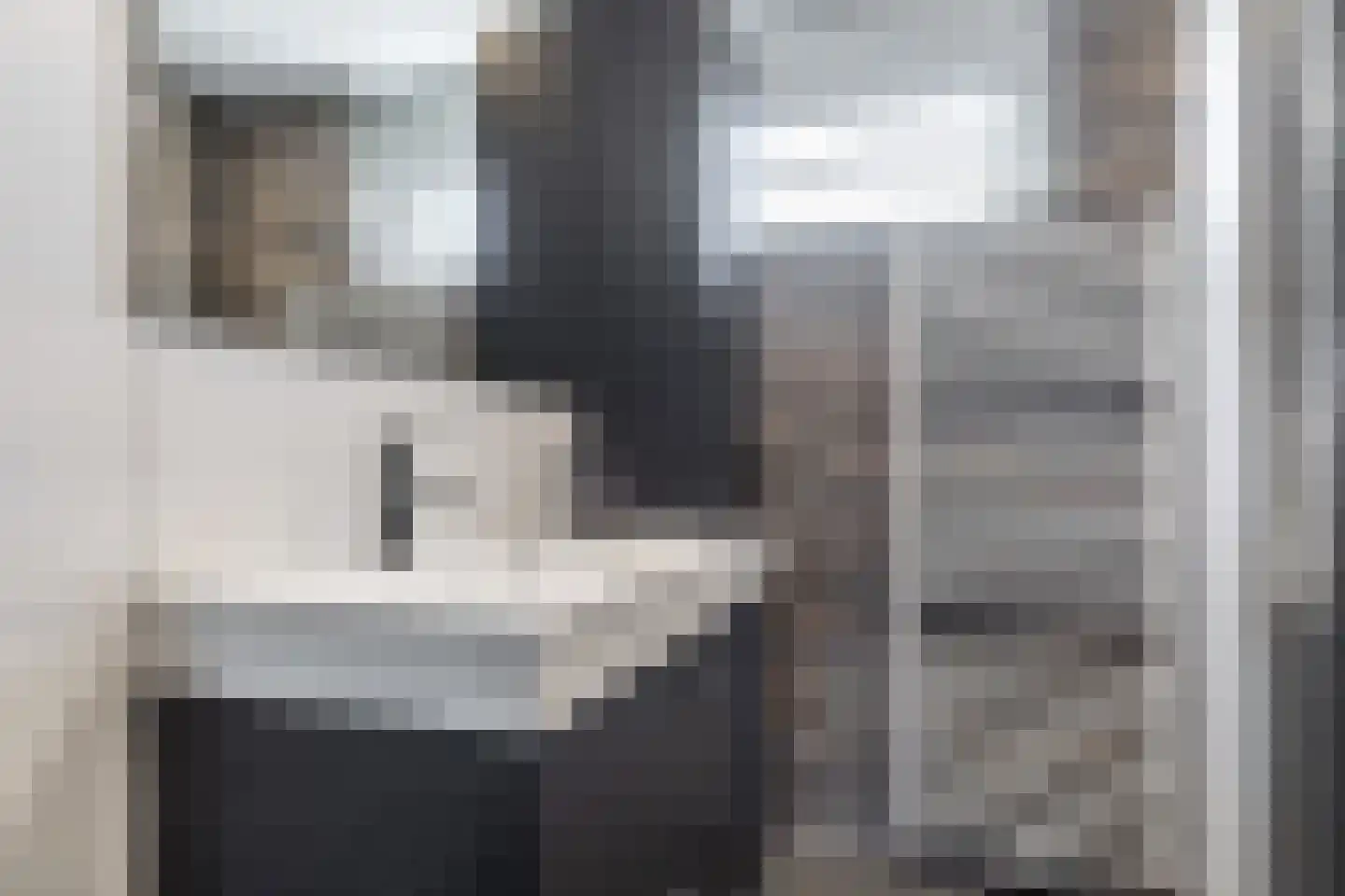 Raaphorstpolderweg 3 Gouda thumbnail 39