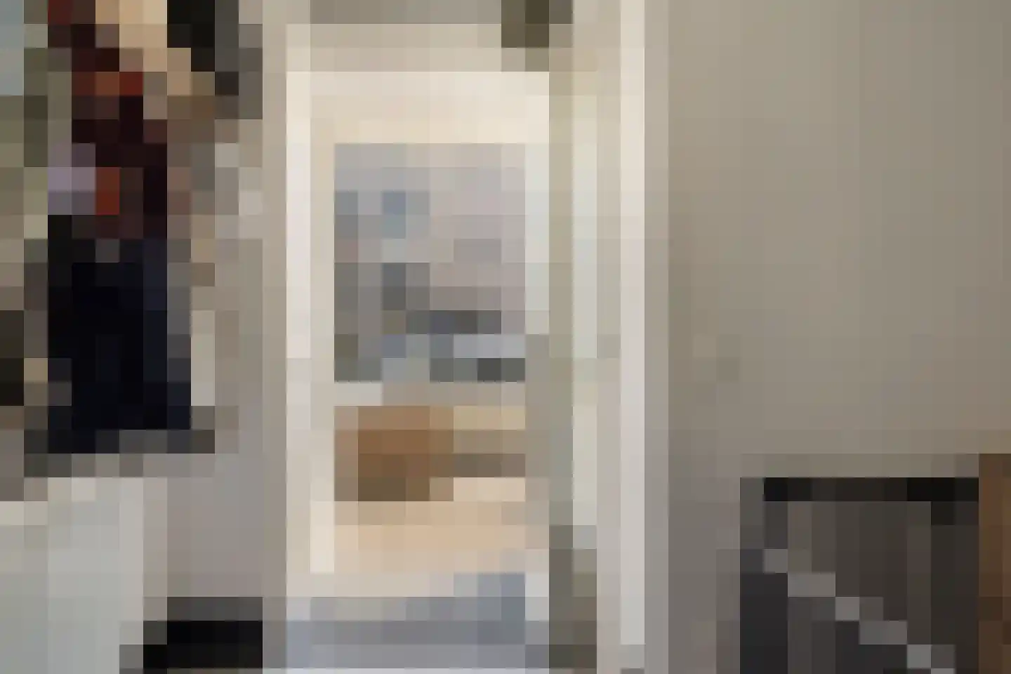 Raaphorstpolderweg 3 Gouda thumbnail 4