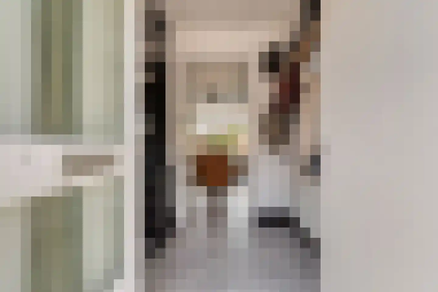 Raaphorstpolderweg 3 Gouda thumbnail 6
