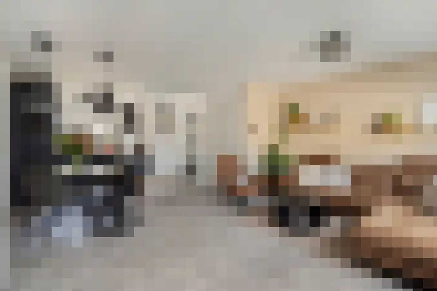 Raaphorstpolderweg 3 Gouda thumbnail 7