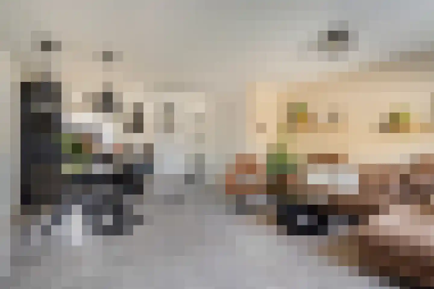 Raaphorstpolderweg 3 Gouda thumbnail 8