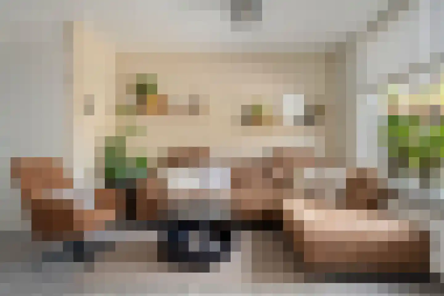 Raaphorstpolderweg 3 Gouda thumbnail 9