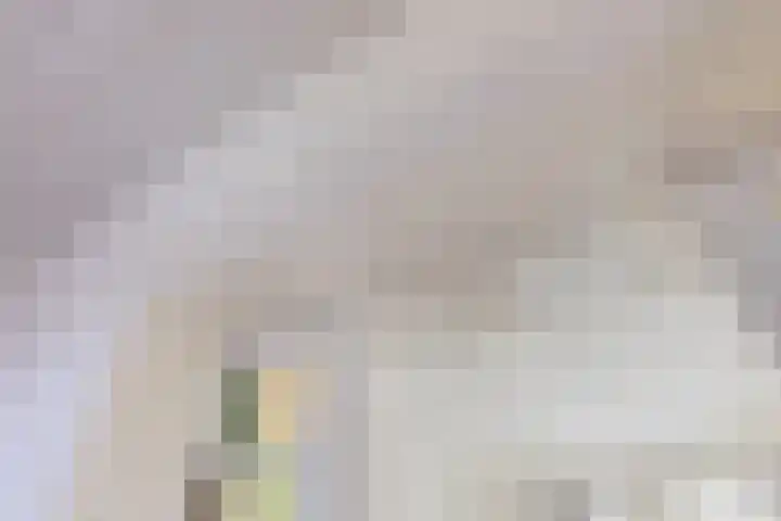 Raapopseweg 114 Arnhem thumbnail 10