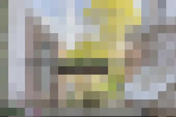 Raapopseweg 114 Arnhem thumbnail 12