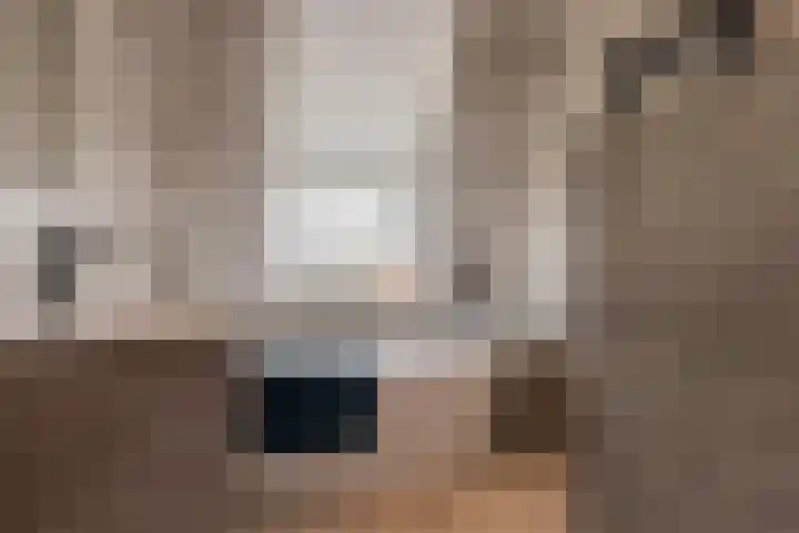 Raapopseweg 114 Arnhem thumbnail 23