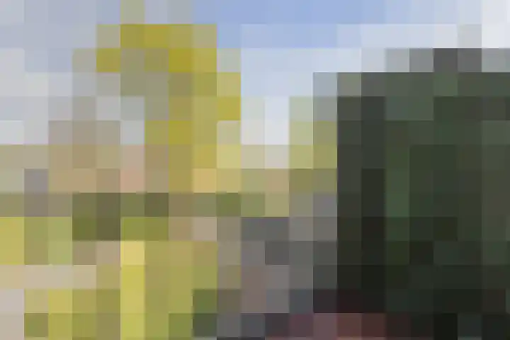 Raapopseweg 114 Arnhem thumbnail 27