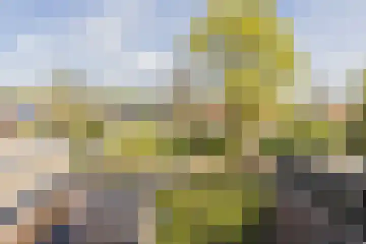 Raapopseweg 114 Arnhem thumbnail 28