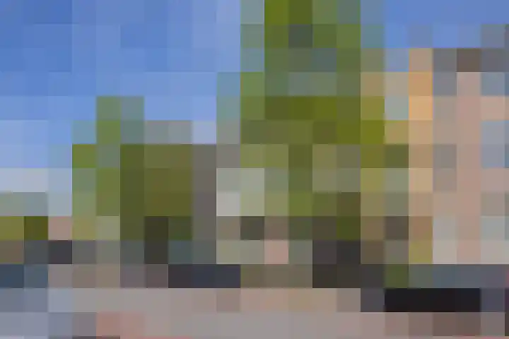 Raapopseweg 114 Arnhem thumbnail 30