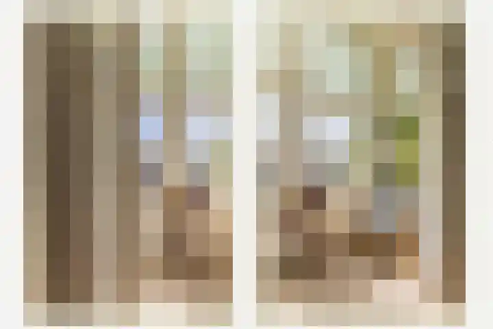 Raapopseweg 114 Arnhem thumbnail 7