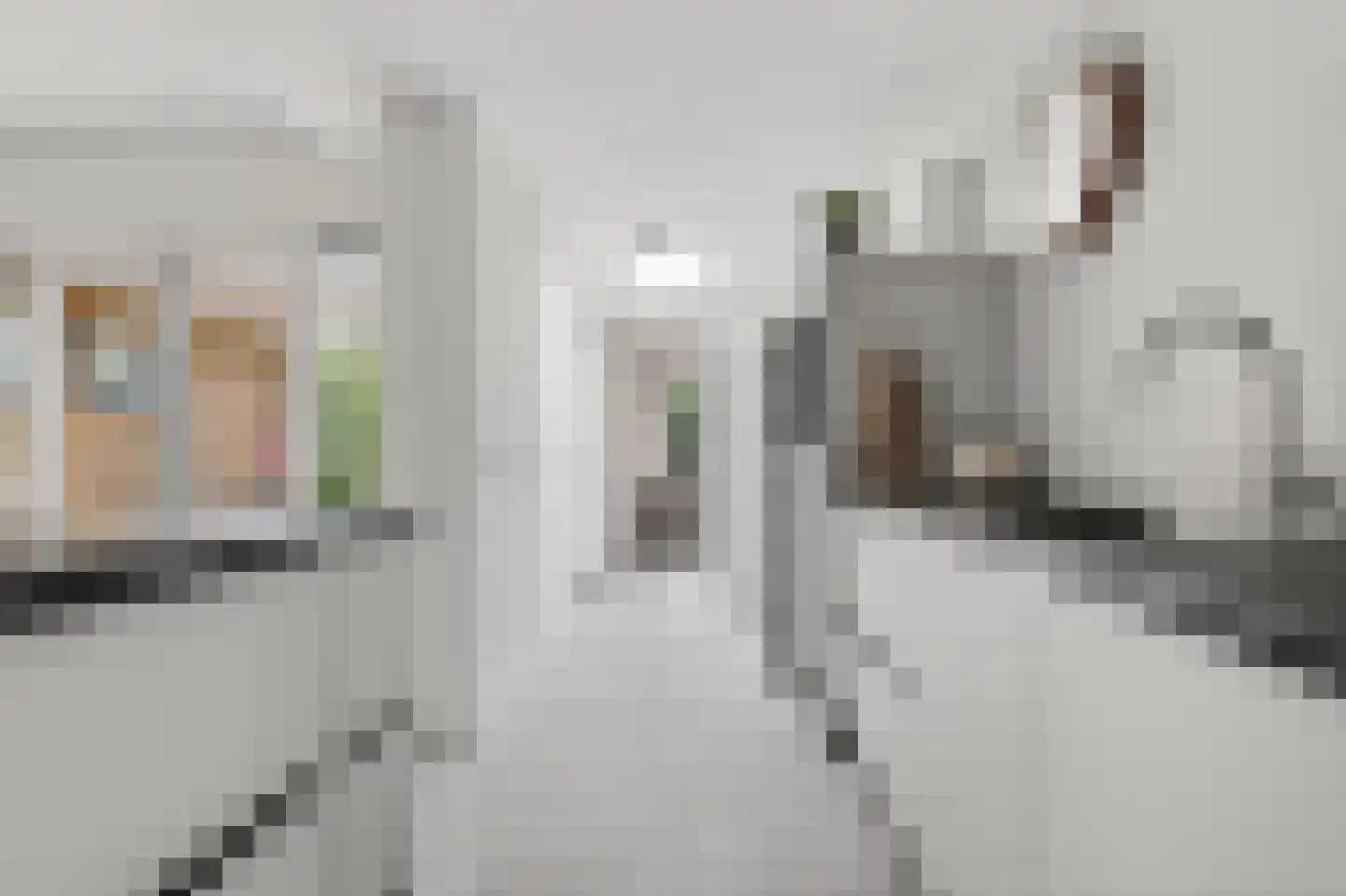Raapopseweg 12 Arnhem thumbnail 11