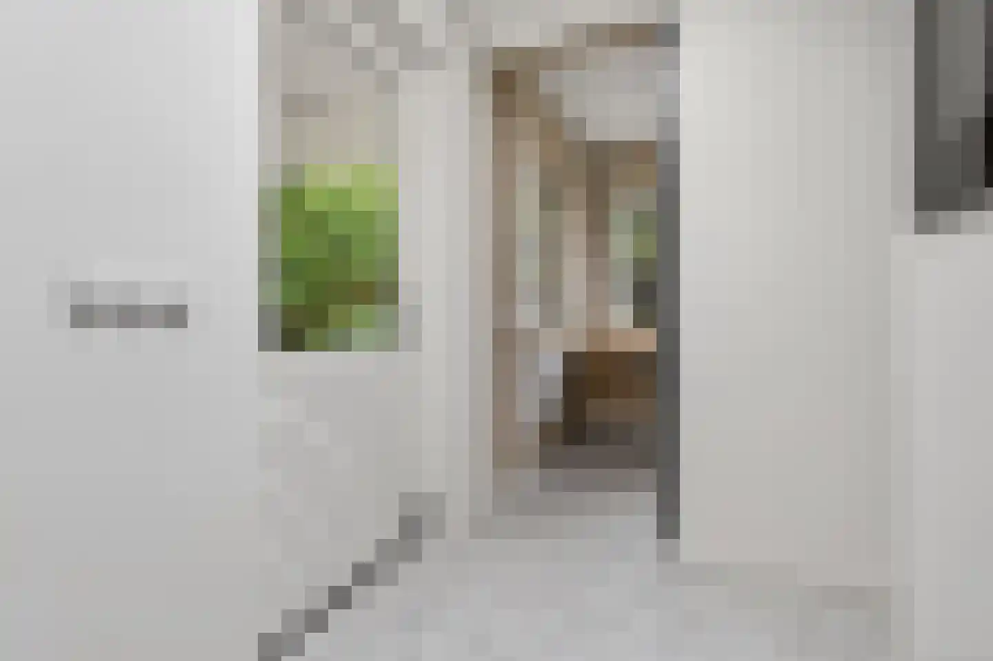 Raapopseweg 12 Arnhem thumbnail 12