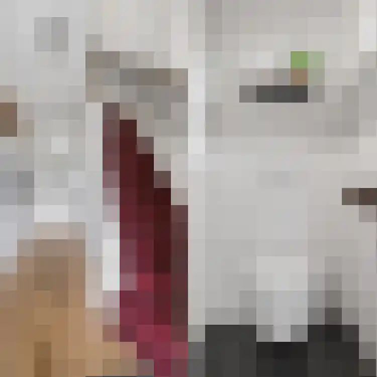 Raapopseweg 12 Arnhem thumbnail 14