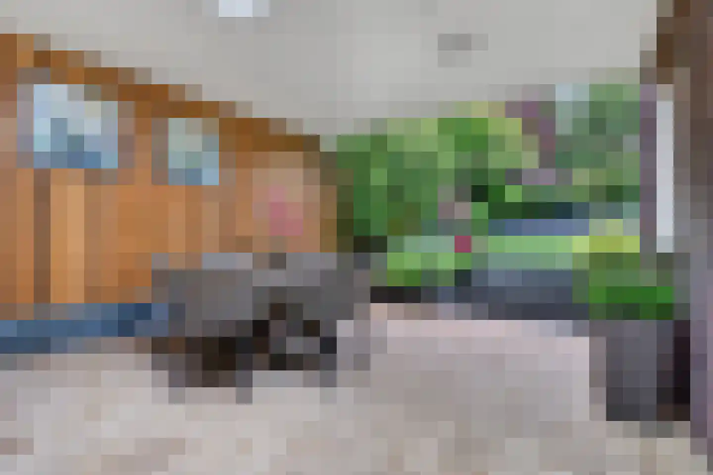 Raapopseweg 12 Arnhem thumbnail 25