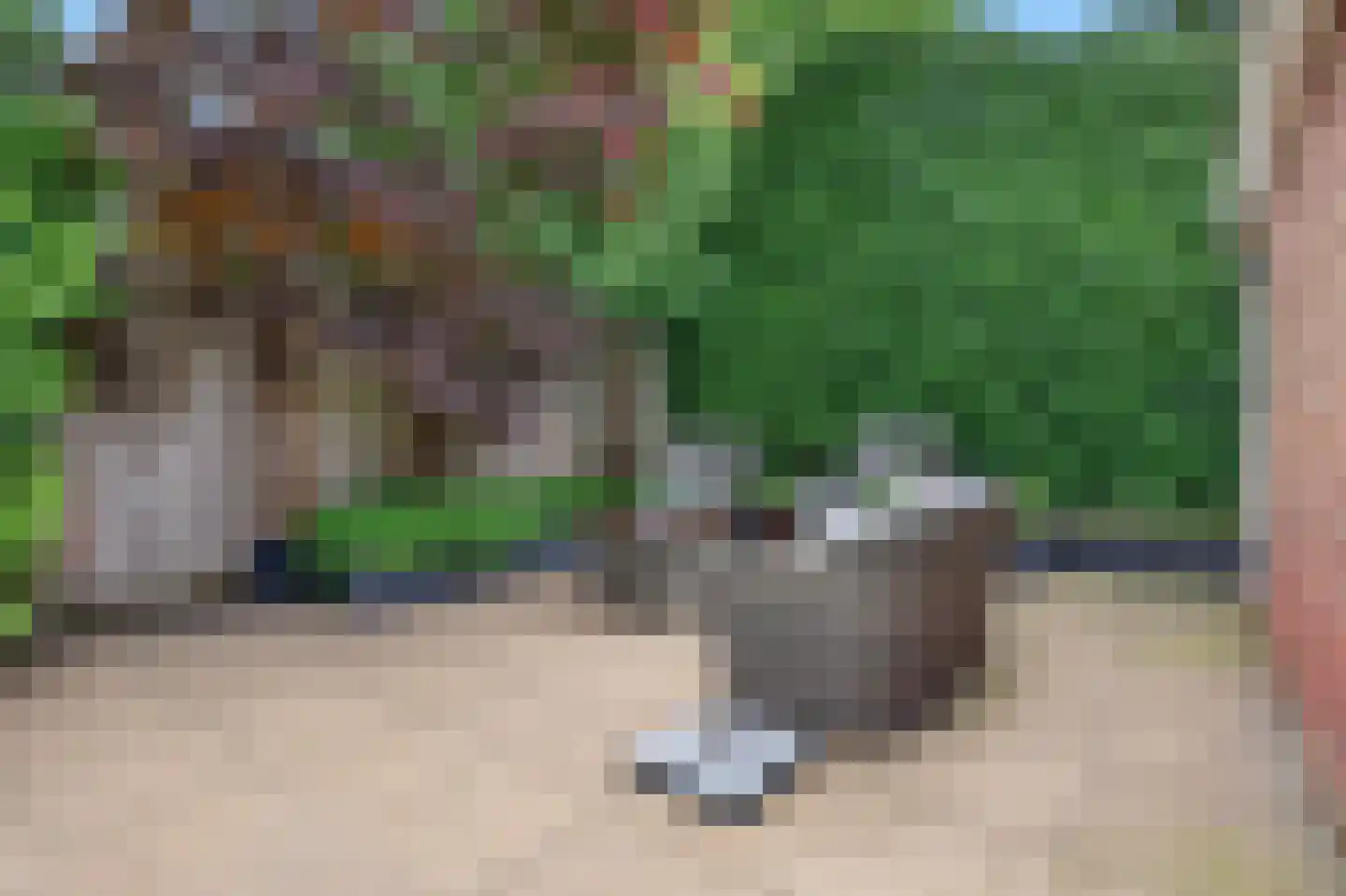 Raapopseweg 12 Arnhem thumbnail 31