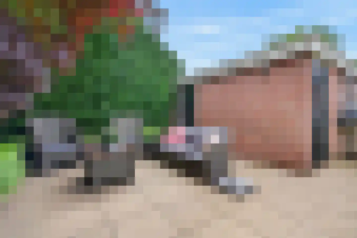 Raapopseweg 12 Arnhem thumbnail 32