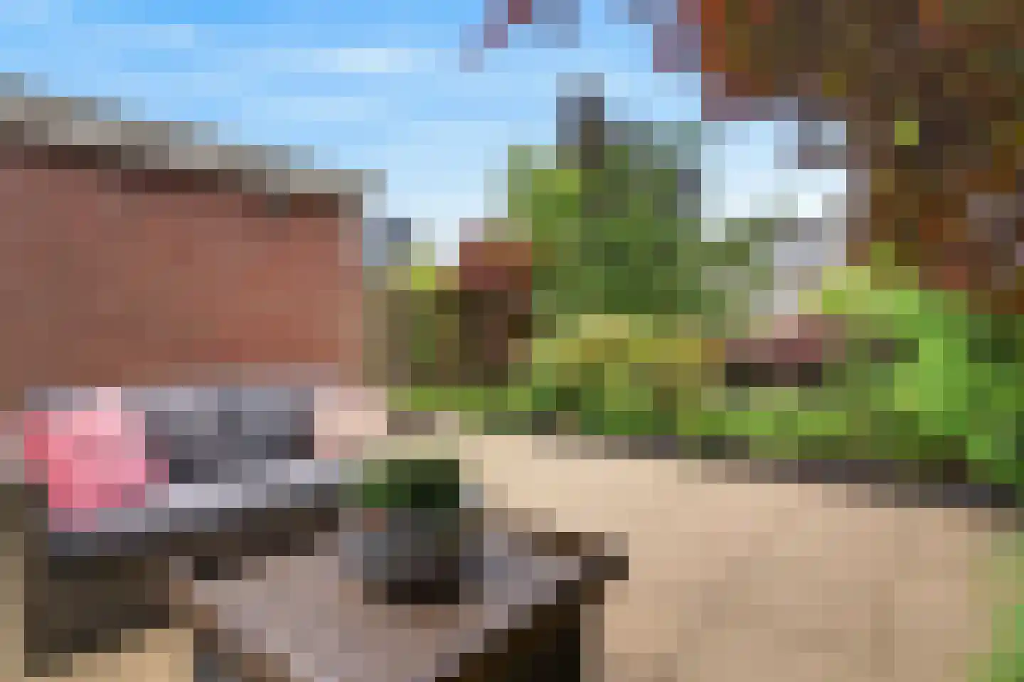 Raapopseweg 12 Arnhem thumbnail 33