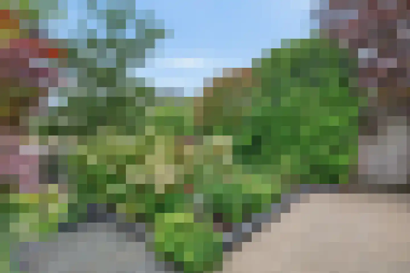 Raapopseweg 12 Arnhem thumbnail 34