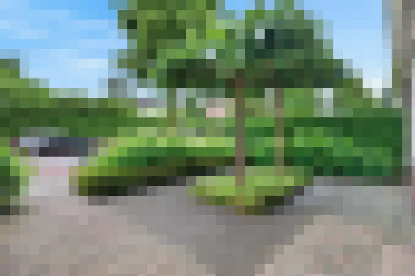 Raapopseweg 12 Arnhem thumbnail 37