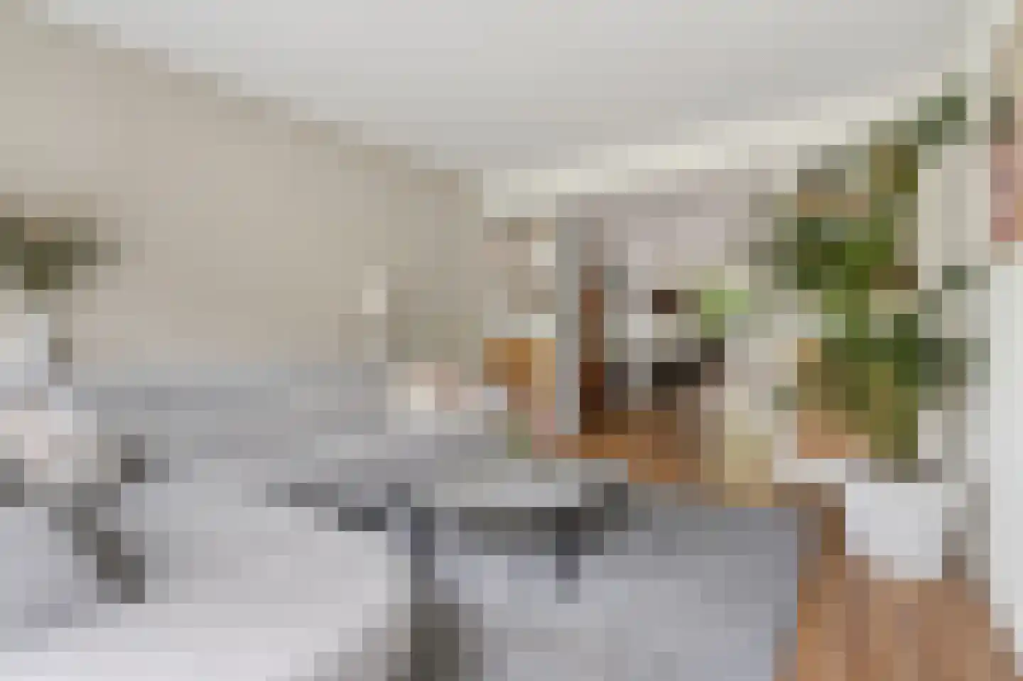 Raapopseweg 12 Arnhem thumbnail 4