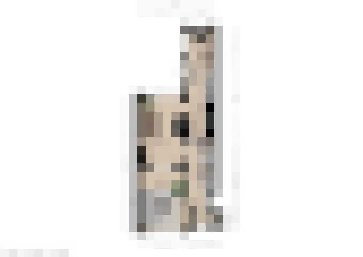 Raapopseweg 12 Arnhem thumbnail 41