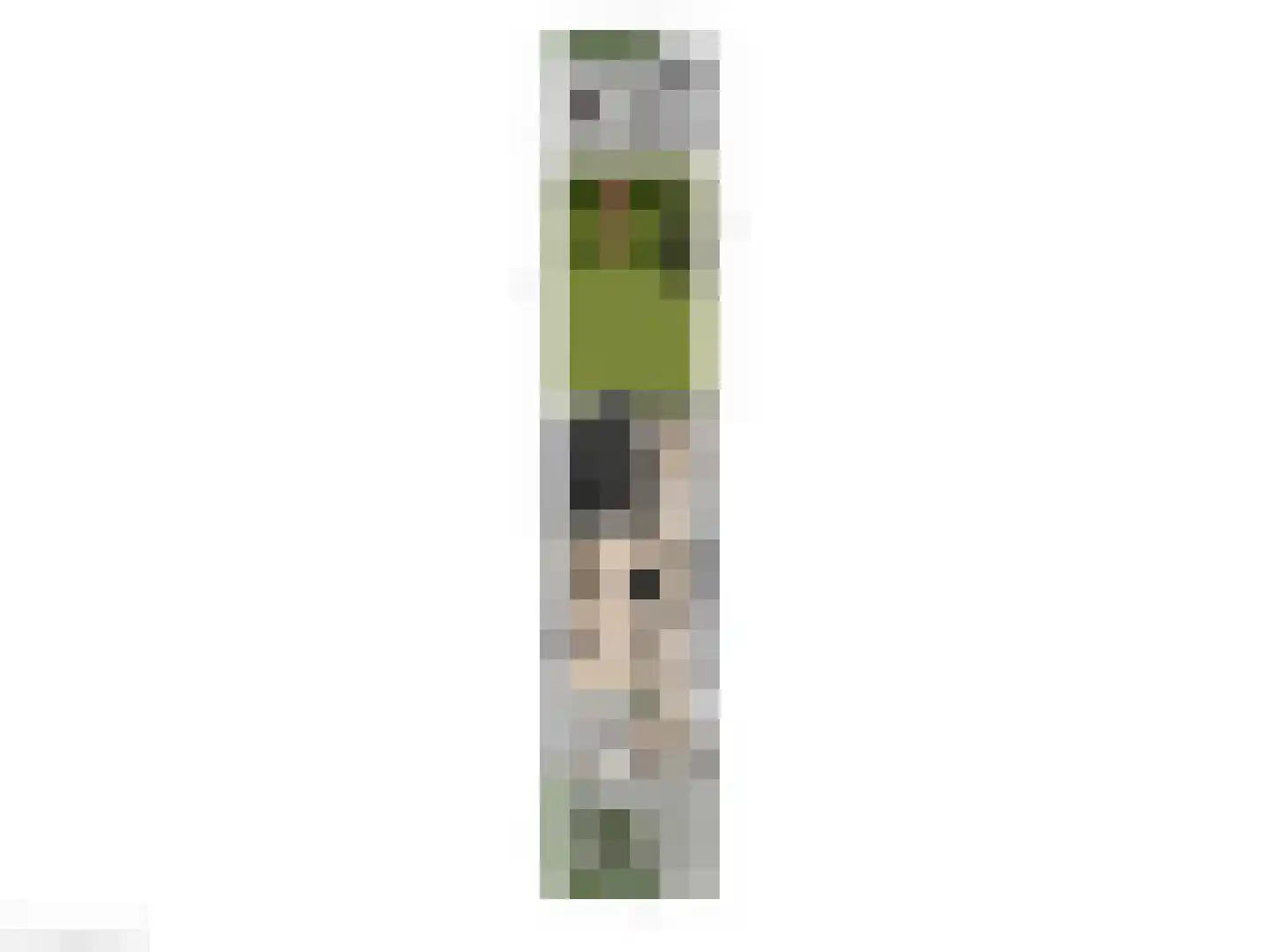 Raapopseweg 12 Arnhem thumbnail 45