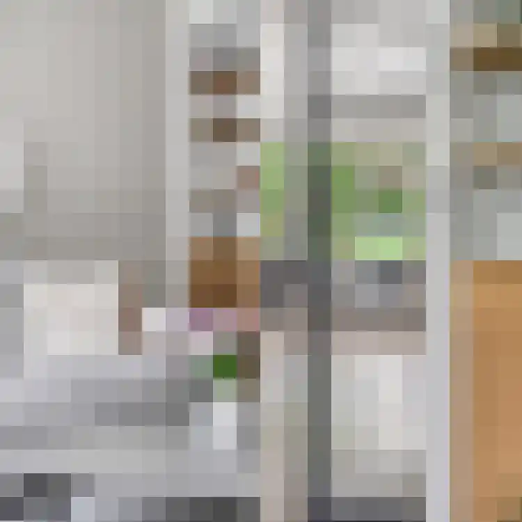 Raapopseweg 12 Arnhem thumbnail 5