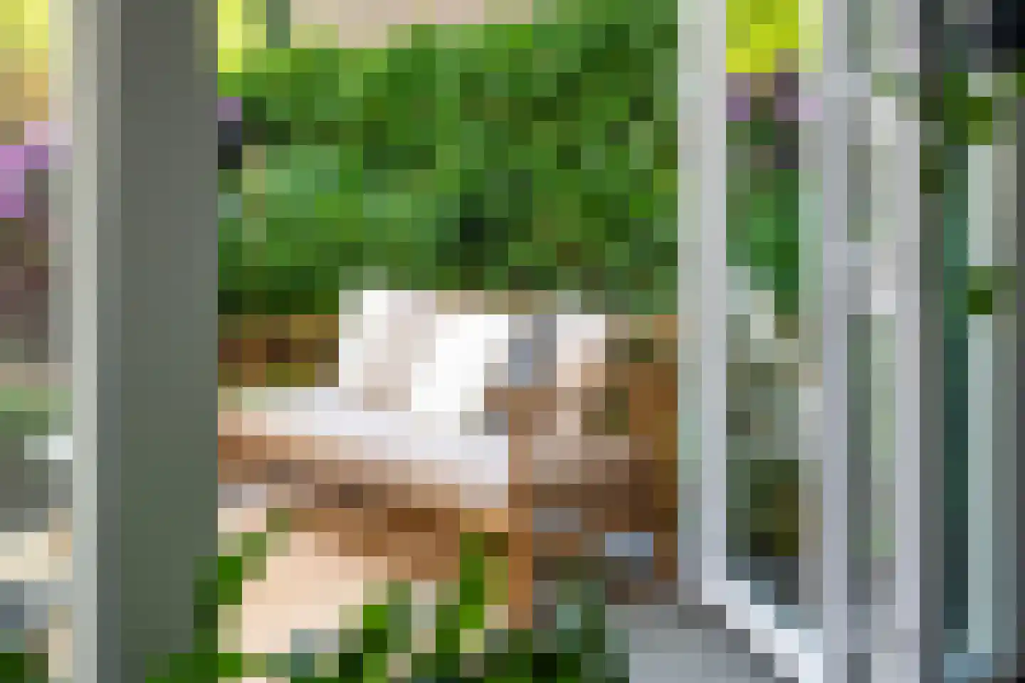 Raapopseweg 124 Arnhem thumbnail 15