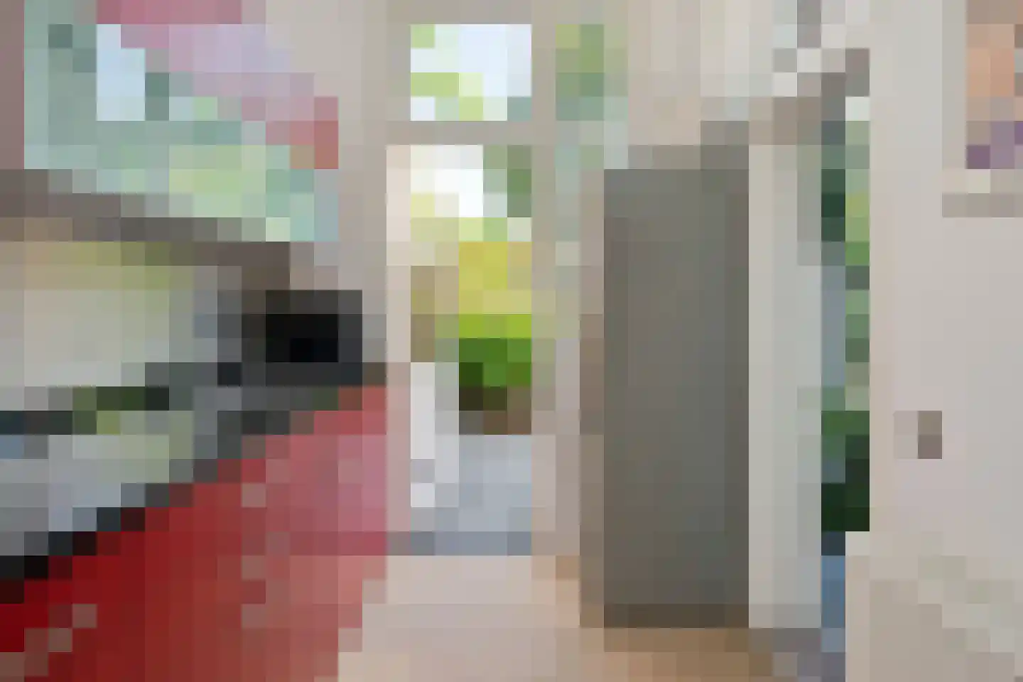 Raapopseweg 124 Arnhem thumbnail 20