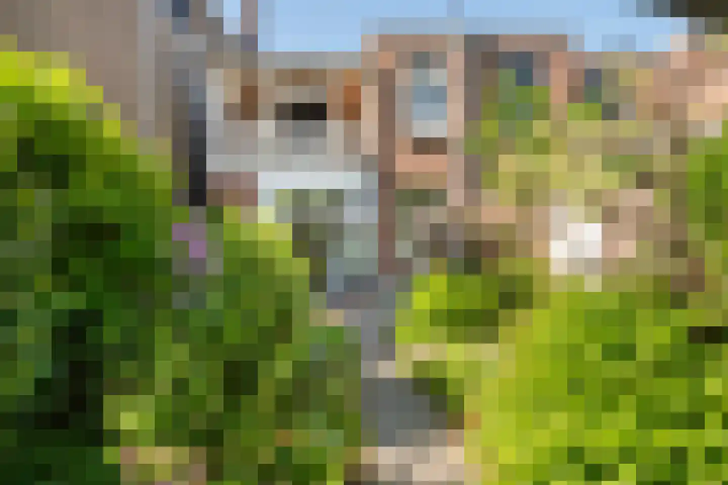 Raapopseweg 124 Arnhem thumbnail 24