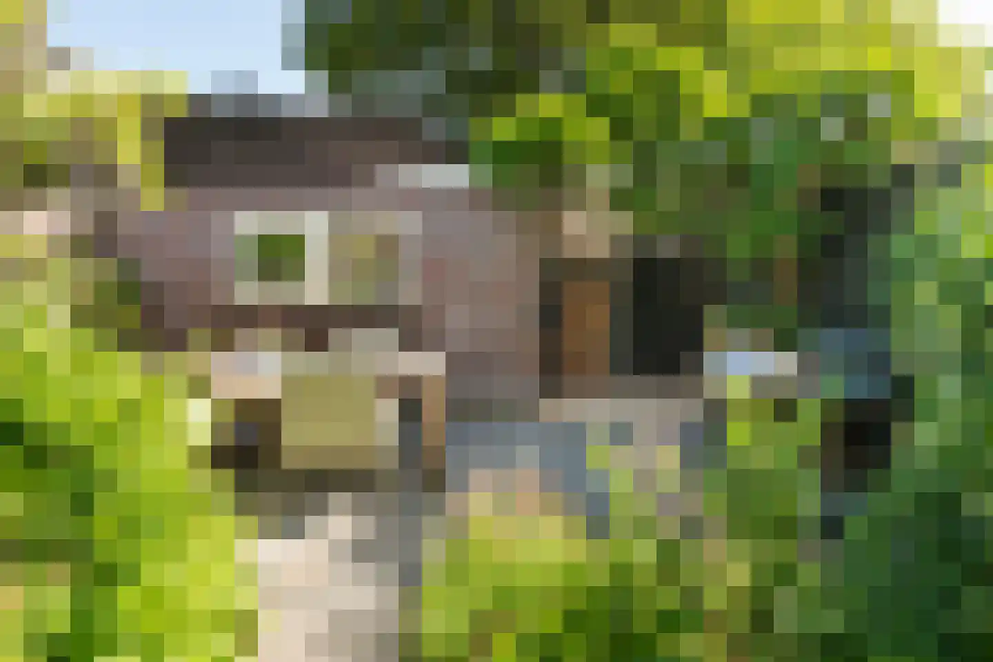 Raapopseweg 124 Arnhem thumbnail 26