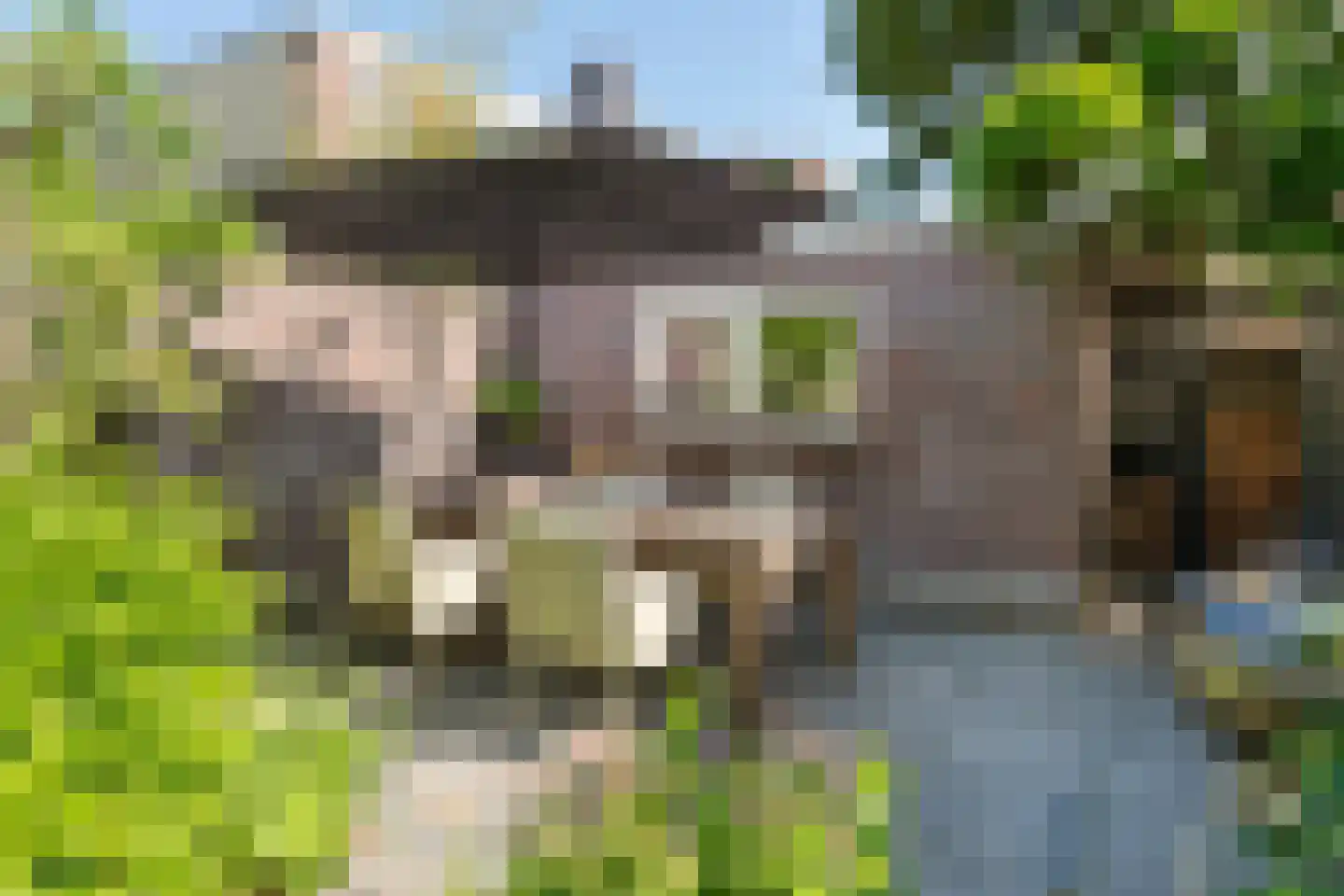 Raapopseweg 124 Arnhem thumbnail 28