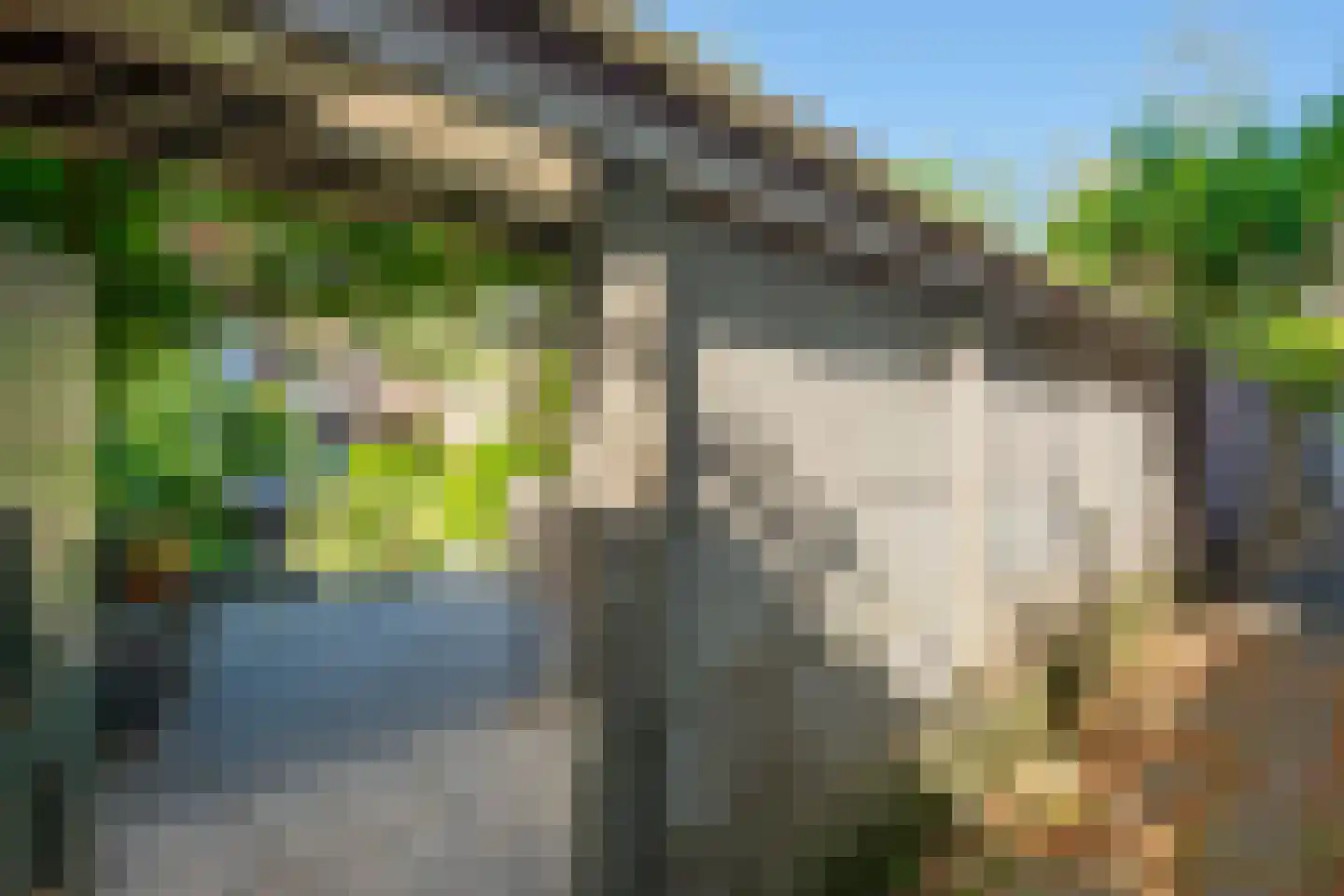 Raapopseweg 124 Arnhem thumbnail 30