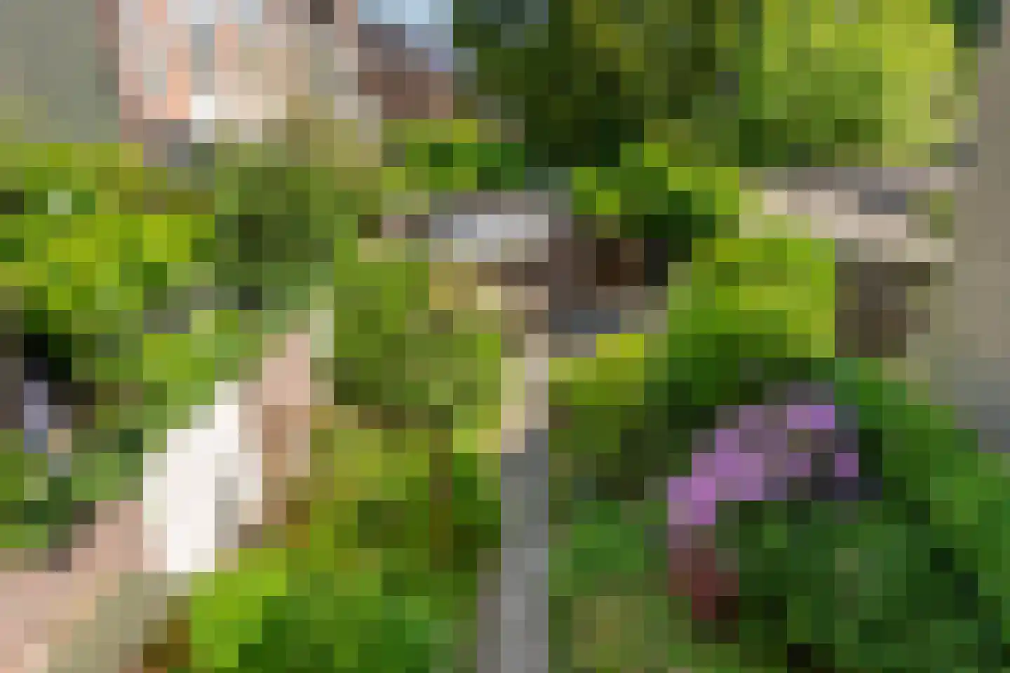 Raapopseweg 124 Arnhem thumbnail 38