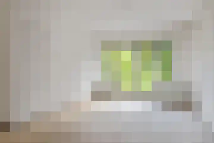 Raapopseweg 2 Arnhem thumbnail 12