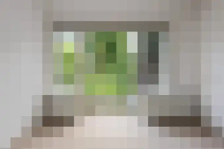 Raapopseweg 2 Arnhem thumbnail 13