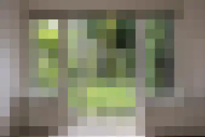 Raapopseweg 2 Arnhem thumbnail 16