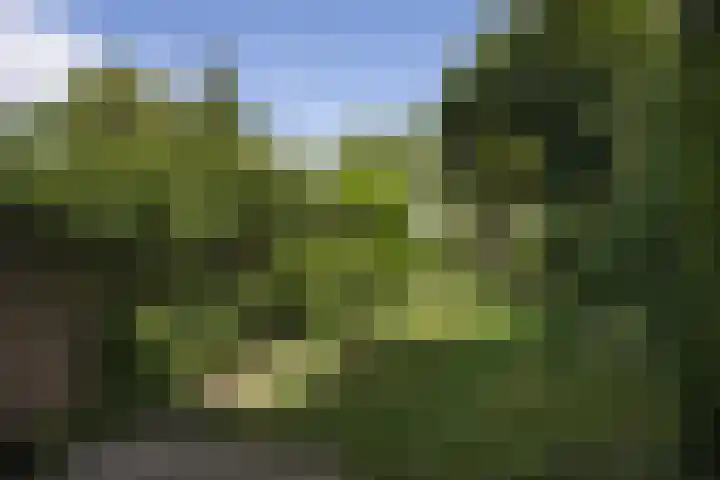 Raapopseweg 2 Arnhem thumbnail 17