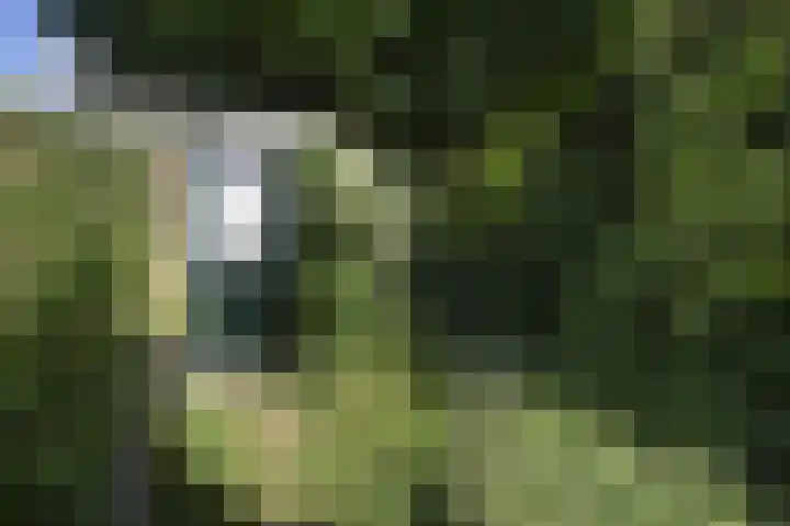 Raapopseweg 2 Arnhem thumbnail 19
