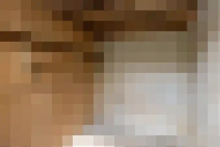 Raapopseweg 2 Arnhem thumbnail 20