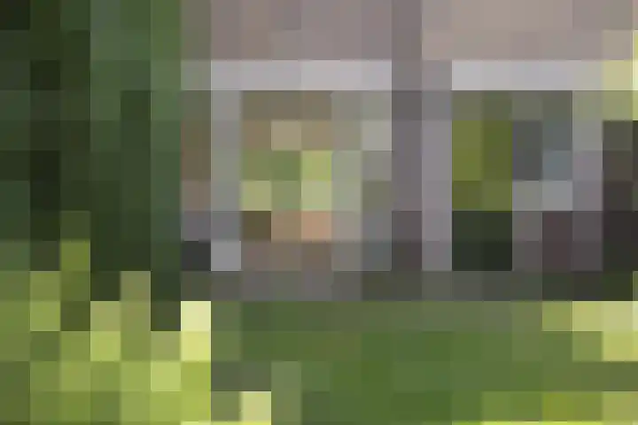 Raapopseweg 2 Arnhem thumbnail 24