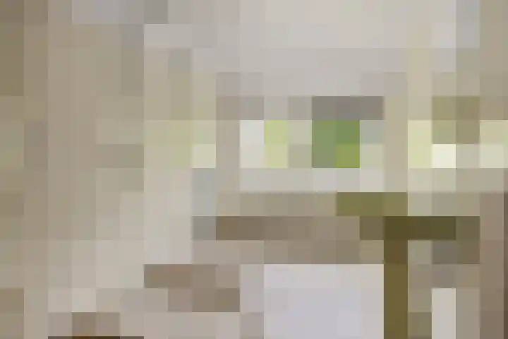 Raapopseweg 2 Arnhem thumbnail 38