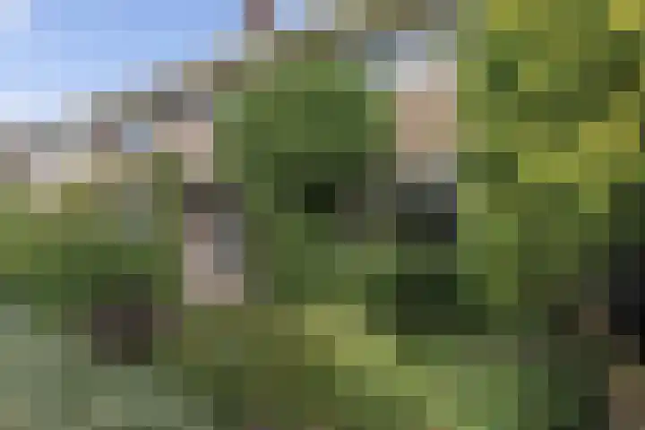 Raapopseweg 2 Arnhem thumbnail 4