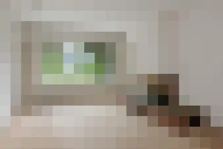 Raapopseweg 2 Arnhem thumbnail 9